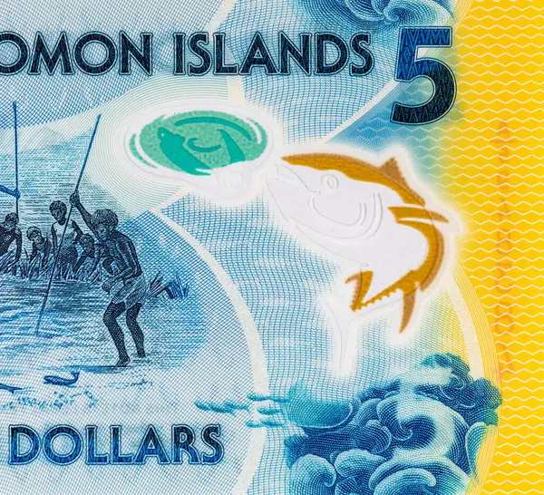 Solomon Adaları 5 Dolar. Polimer banknot, sualtında balık tutan bir adam resmi. Solomon Adalarının Parası.