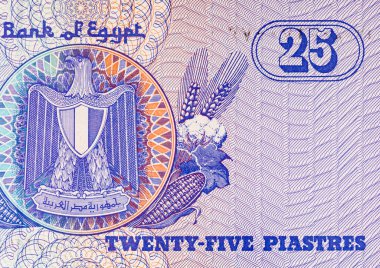 Mısır 25 Piastres 2004 Banknotları Mısır arması resmi ile. Mısır 'ın parası.