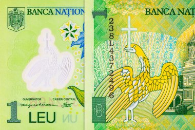 1 Leu Romanya ve Nicolae Orga 'nın portresi. Romanya ve Avrupa Birliği 'nin polimer parası.