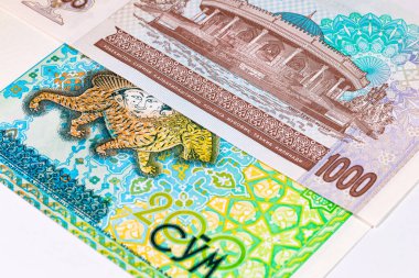 200 ve 1000 Som Özbekistan. Para geçmişi var. Özbekistan 'ın Kağıt Parası.