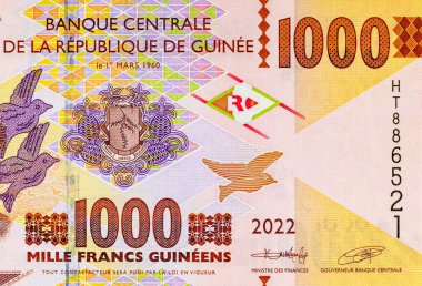 Afrikalı bir kızın portresiyle 1000 gine. Afrika Gine parası. Yakın plan..