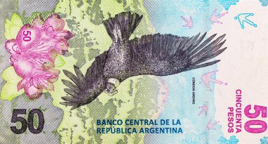 50 peso Arjantin And Akbabası 'nın görüntüsüyle. Arjantin 'in kağıt parası