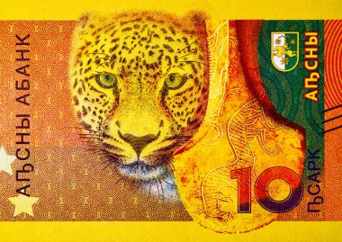 10 Apsar Abhazya, beyaz leopar resmi ve bronz bir balta. Abhazya 'nın tanınmayan cumhuriyeti. Abhazya 'nın Parası.