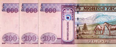 100 Moğolistan banknotu, tasarım için bir parça. Moğolistan 'ın kağıt parası.