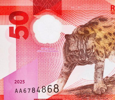 50 Piso Filipinler, Yeni Polymer Note 2025 Visayan Leoparı ile. Filipin Parası