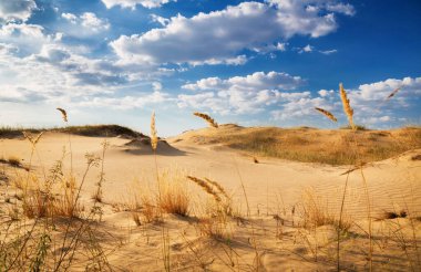 Kumulları olan güzel bir çöl manzarası. Güneşli bir günde kumların üzerinde yürü.