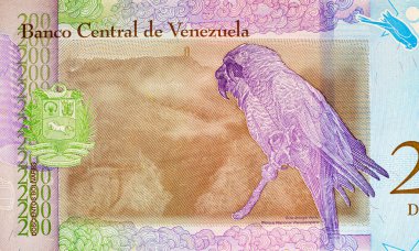 200 Bolivares, Venezuela banknot parçası ve papağan portresi. Venezuellinin kağıt parası