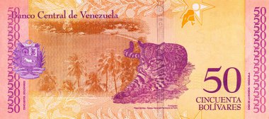 50 Bolivares, Venezuela banknot parçası ve çivi yazısı leopar resmi. Venezuellinin kağıt parası