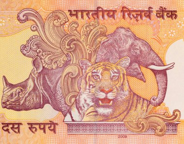 İçinde fil, gergedan ve kaplan resmi olan 10 Rupi Hindistan. Hindistan 'ın kağıt parası..