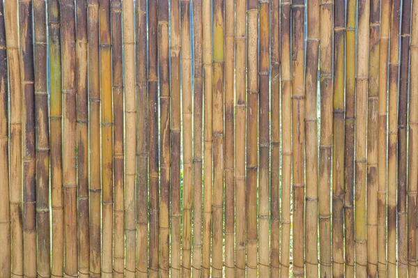 Muro Bambù Parete Bambù Marrone — Foto Stock