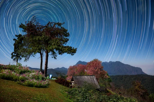 Schöne Doi Luang Chiang Dao Berge Bei Nacht Und Sternenpfade Stockbild