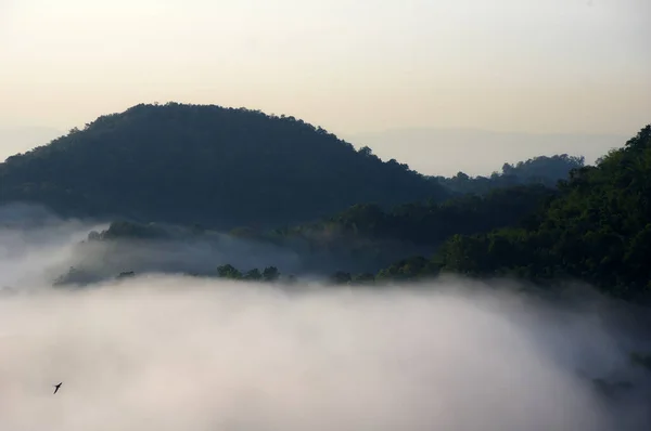 Piękne Krajobrazy Wschodzie Słońca Mgłą Szczytu Doi Pha Phueng Ban Obrazy Stockowe bez tantiem
