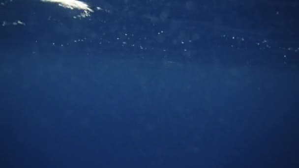 Vista Superfície Água Subaquática Com Reflexos Solares — Vídeo de Stock