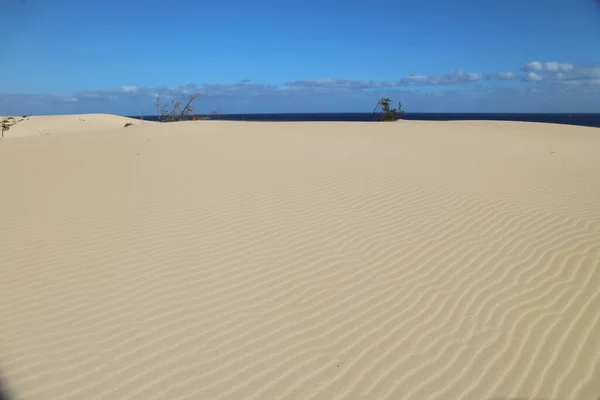 Wüstenlandschaft Mit Dünen Und Sandwellen — Stockfoto