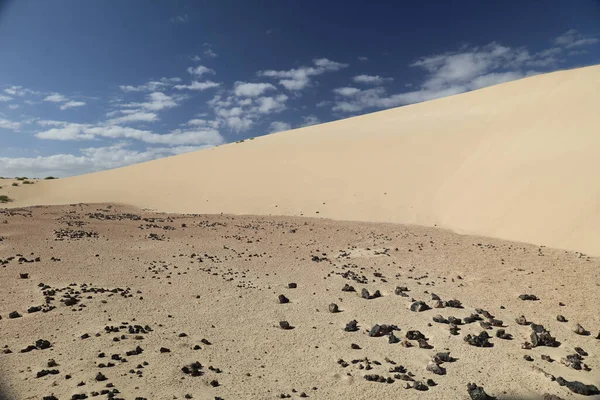 Paysage Désertique Avec Dunes Vagues Sable — Photo