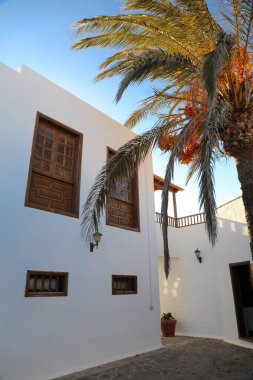 Önünde palmiye ağacı olan bir İspanyol beyaz evi cephesi