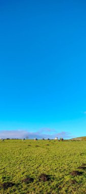 Mavi gökyüzü olan kırsal alan