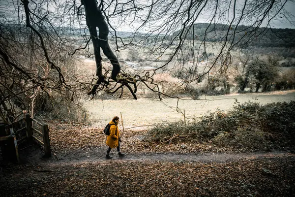 Γυναίκα Που Περπατάει Στο Μονοπάτι Του Δάσους Πλευρική Άποψη Royalty Free Εικόνες Αρχείου