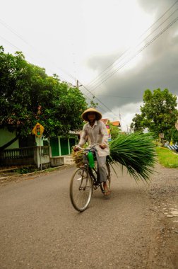 Merkez Java, Endonezya - 26 Mayıs 2010: Sugegasa şapkalı ve bisikleti Endonezya 'nın merkezinde bulunan geleneksel Endonezyalı adam