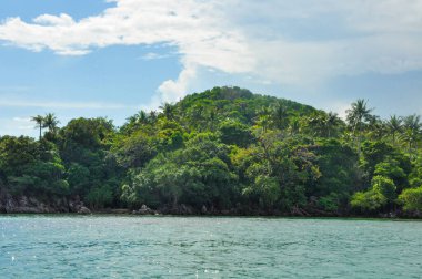 Endonezya, Karimunjawa 'da yemyeşil bitki örtüsü ve turkuaz su ile çarpıcı tropikal kıyı şeridi.