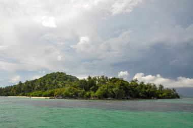 Endonezya, Karimunjawa 'da yemyeşil bitki örtüsü ve turkuaz su ile çarpıcı tropikal kıyı şeridi.