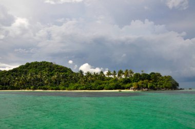 Endonezya, Karimunjawa 'da yemyeşil bitki örtüsü ve turkuaz su ile çarpıcı tropikal kıyı şeridi.