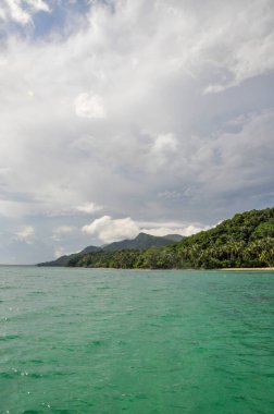 Endonezya, Karimunjawa 'da yemyeşil bitki örtüsü ve turkuaz su ile çarpıcı tropikal kıyı şeridi.