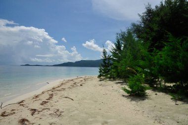 Endonezya, Karimunjawa 'da çarpıcı tropikal plajlar