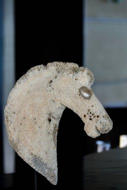 Mercan taşından yapılmış at kafası heykeli - Yakın çekim