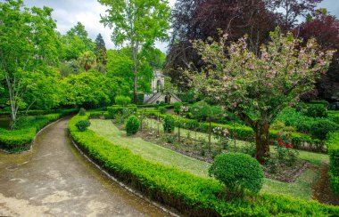 Bahçedeki bitki örtüsü ve bitki örtüsü, Coimbra, Portekiz 'deki şehir botanik parkı.