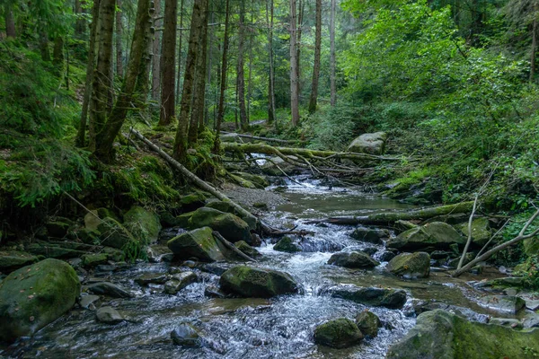 Fiume Foresta Nelle Verdi Montagne Dei Carpazi — Foto Stock