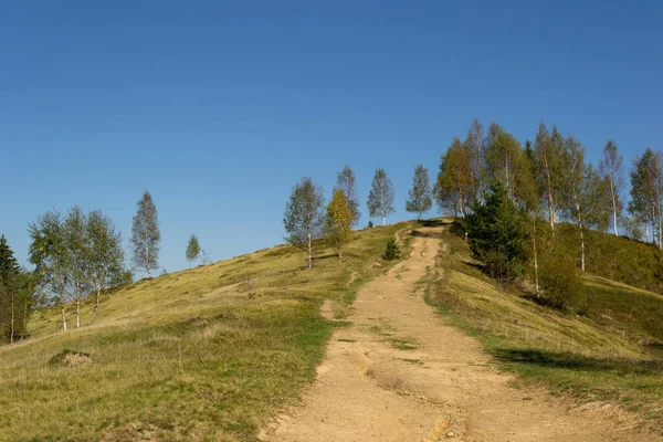Ukrayna 'daki Karpat Dağları' nda yürüyüş parkurunda.