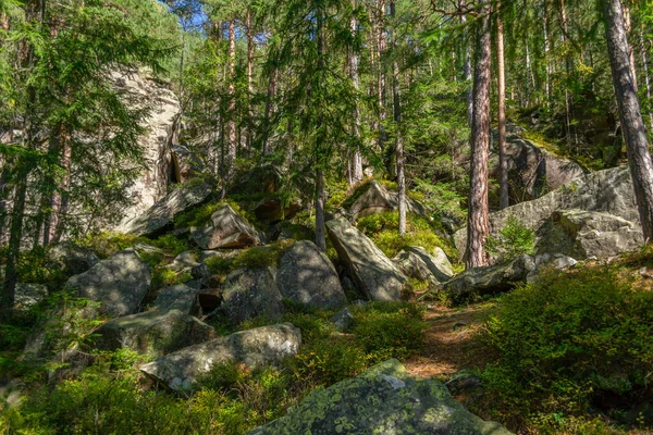 Crinale Pietre Muschiose Enorme Foresta Montagne Carpazie — Foto Stock