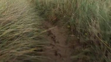 Kıyıdaki çimenler boyunca kumlu yolda yürüyorum ve bir fırtına sırasında sahili görüyorum.