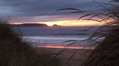 Okyanusta harika bir gün batımı. Uzaktaki sahil kayaları silueti ve ön planda kıyı çimenleri olan kumlu bir plaj. Odaklanmış kuru otlar.