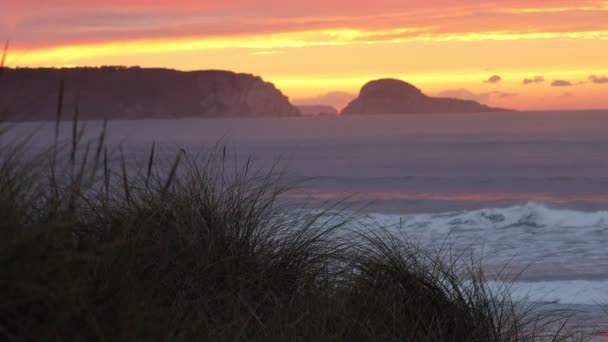 美丽的落日映衬在海洋上 远处是海岸岩石的轮廓 前面是沙滩 前面是海滨草 中心是青草 — 图库视频影像