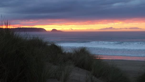 Kilka Osób Uprawia Surfing Wieczorem Tle Wspaniałego Zachodu Słońca Oceanie — Wideo stockowe