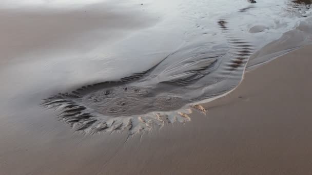 Песчаном Берегу Океана Прорывается Активная Бушующая Свежая Подземная Весна — стоковое видео