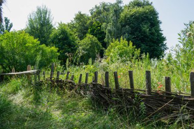 Eski Ukrayna kırsalında çitlerin yanında çim ve ağaçlar vardı.