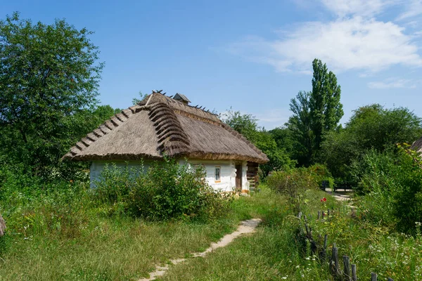 Une Cour Village Avec Herbe Arbres Près Ancienne Maison Campagne — Photo