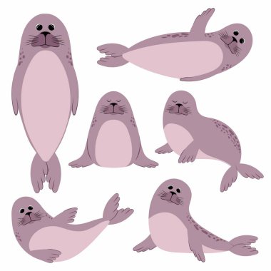 Bir grup hayvan. Mühürle. Beyaz bir arkaplanda resim.