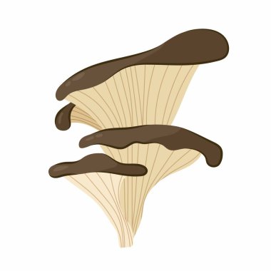 Mantar. Beyaz arkaplandaki düz bir mantarın vektör çizimi.