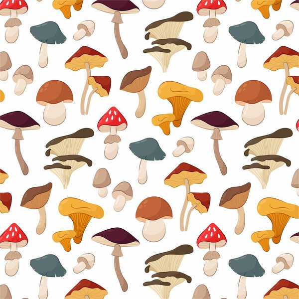 Pattern of vector illustrations of different forest mushrooms. Mushrooms on a white background.