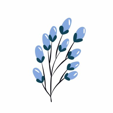 Noel bitkileri, dekor. Böğürtlenli bir dal. Doğal dekorasyon. Beyaz arkaplanda düz vektör illüstrasyonu.