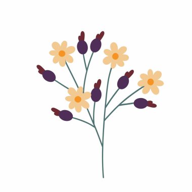 Çiçek ve böğürtlenli dekoratif dal. Sonbahar doğal dekorasyonu. Dekoratif botanik. Beyaz arkaplanda düz biçim çizimi.