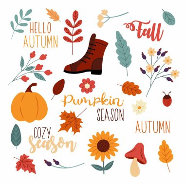 Sonbahar ikonları ve harfleri. Vektör sonbahar elementleri. Sıcak sonbahar yaprakları, balkabakları, dallar, botlar, düz bir şekilde çiçekler..