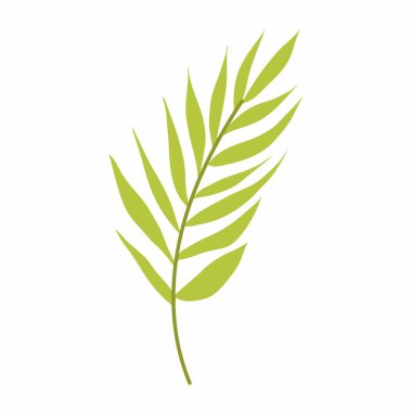 Açık yeşil palmiye dalı düz stil. Dekoratif palmiye dalı. Tropik bir bitkinin basit bir dalı.