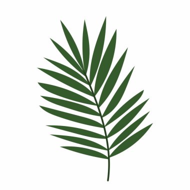 Palm tree branch in flat style. Decorative palm branch. A simple branch of a tropical plant. clipart