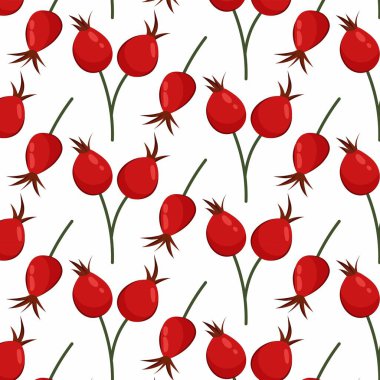 Gül kalçalı desen. Sonbahar arkaplanı. Beyaz arka planda düz bir gül kalemi. Tekstil, ambalaj kağıdı, arkaplan.