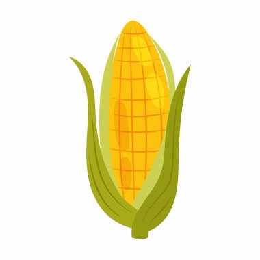 Olgun yeşil bezelye kabuğu bembeyaz arka planda düz stil. Baklagillerin çizgi film çizimi. Sağlıklı yemek, malzeme..